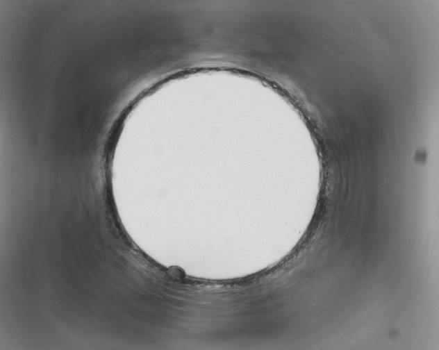 X0000116341167201001131039