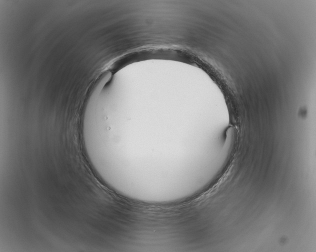 X0000116341169201001131039