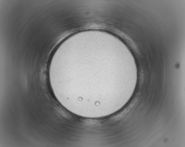 X0000116341170201001131039