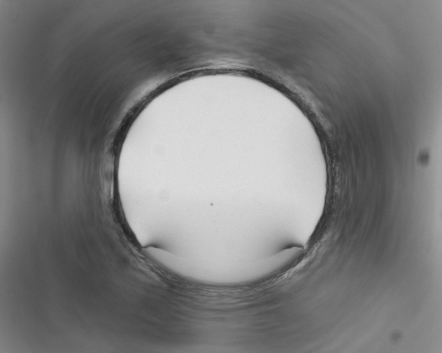 X0000116341171201001131039