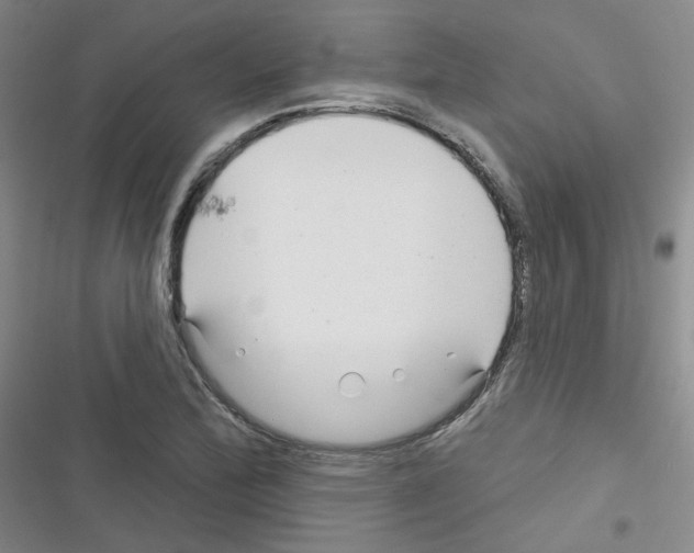 X0000116341172201001131039