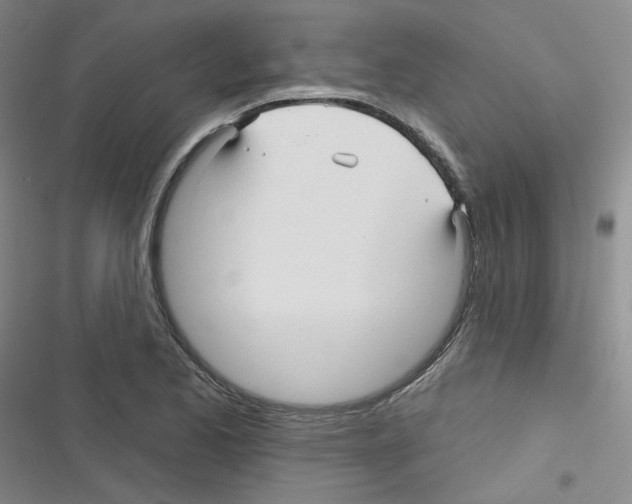 X0000116341173201001131039