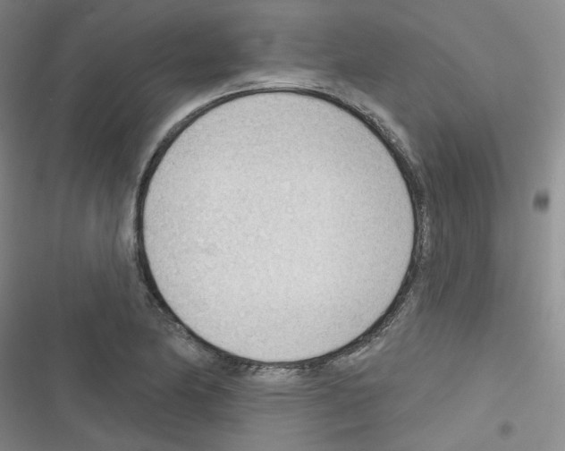 X0000116341174201001131039