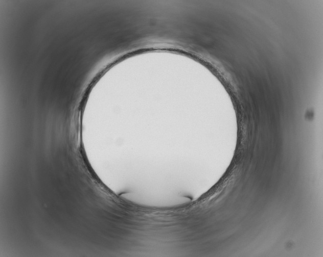 X0000116341175201001131039