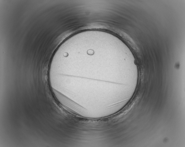 X0000116341177201001131039