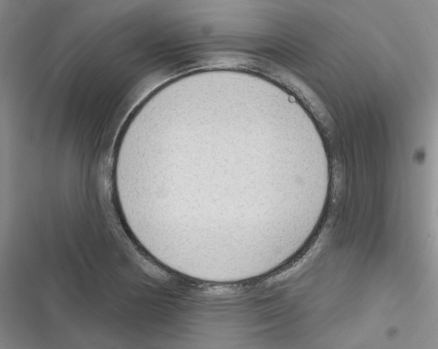 X0000116341178201001131039