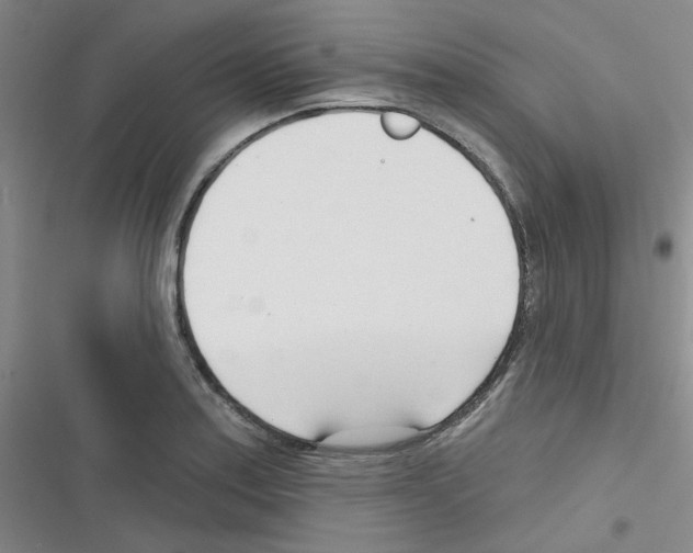 X0000116341179201001131039