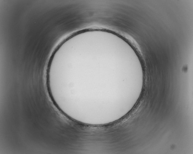 X0000116341183201001131039