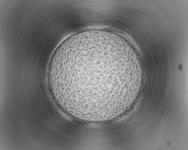 X0000116341186201001131039