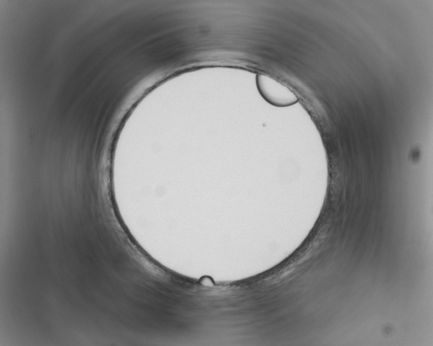 X0000116341188201001131039