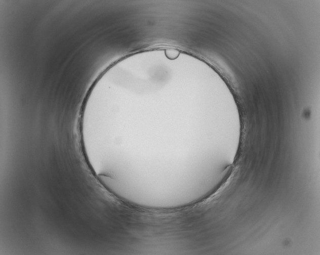 X0000116341190201001131039