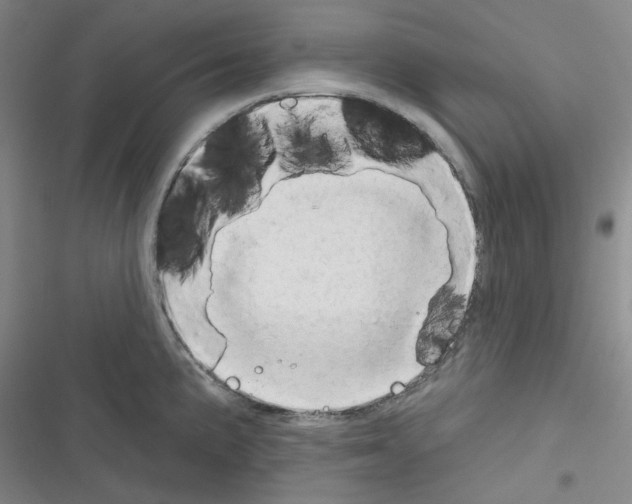 X0000116341191201001131039