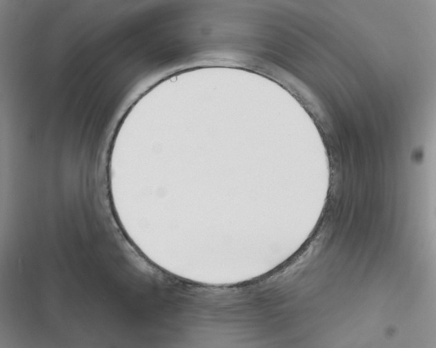 X0000116341192201001131039