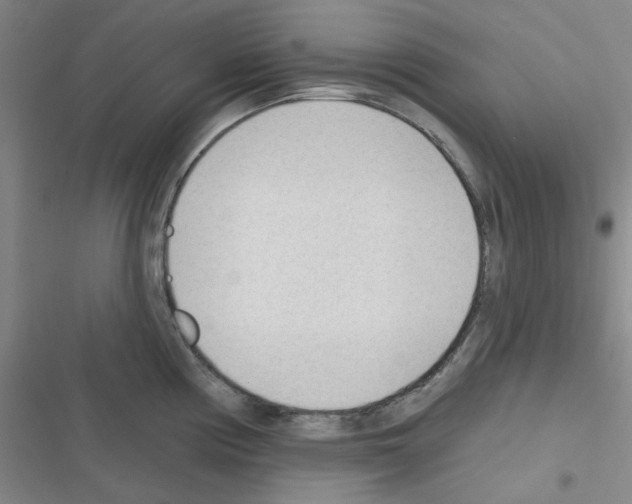 X0000116341194201001131039