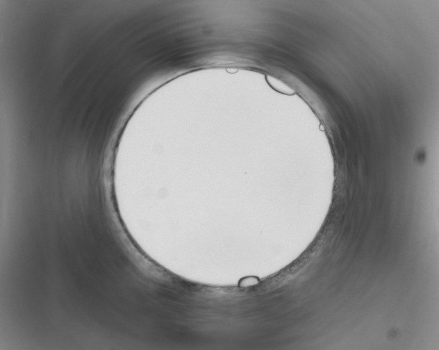 X0000116341195201001131039