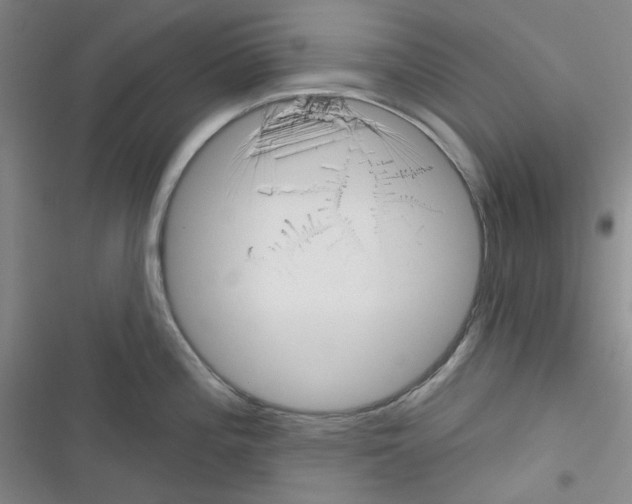 X0000116341196201001131039