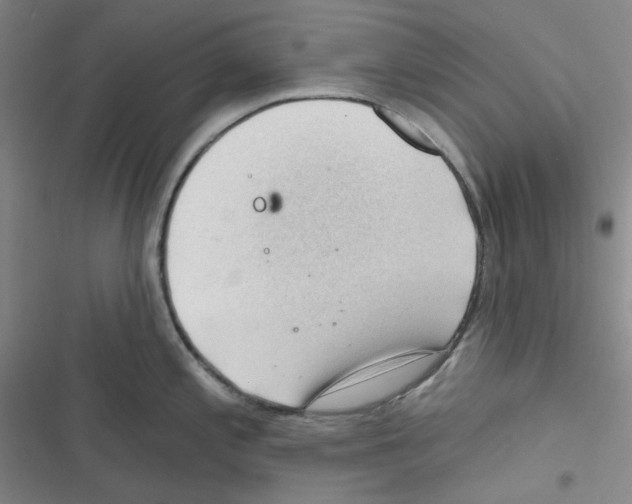 X0000116341197201001131039