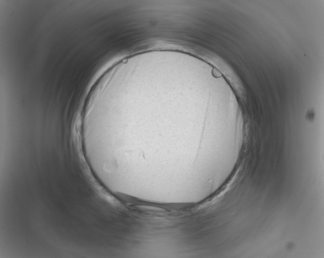 X0000116341198201001131039