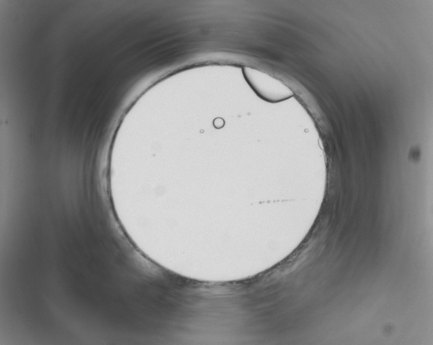 X0000116341199201001131039