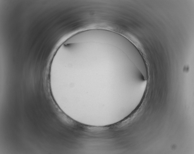 X0000116341200201001131039