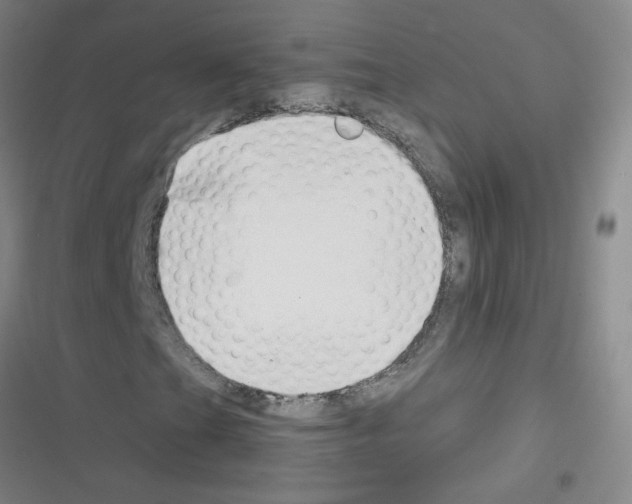 X0000116341201201001131038