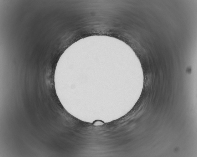 X0000116341202201001131038