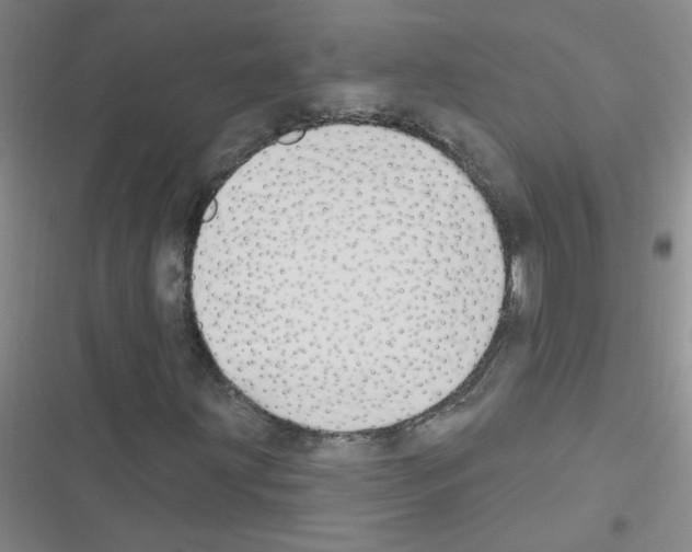 X0000116341203201001131038