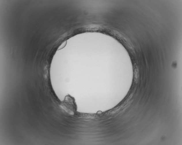 X0000116341204201001131038