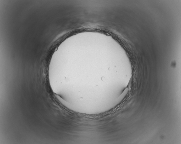 X0000116341206201001131038