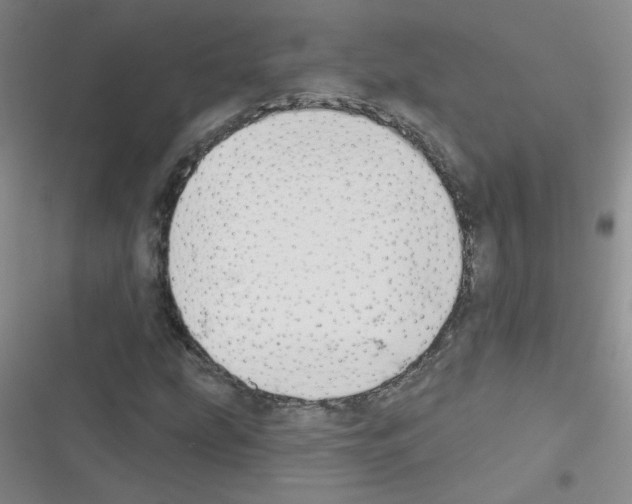 X0000116341207201001131038