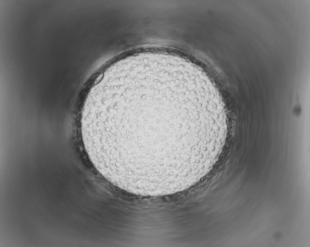 X0000116341208201001131038