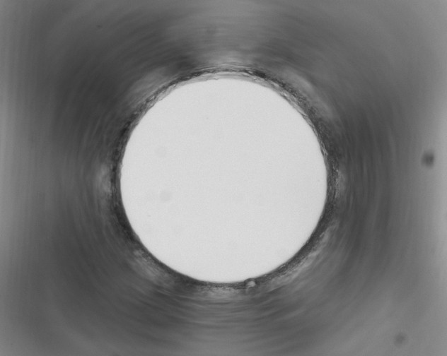 X0000116341209201001131038