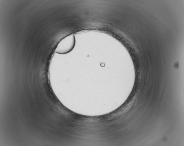 X0000116341210201001131038