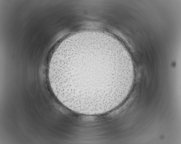 X0000116341211201001131038