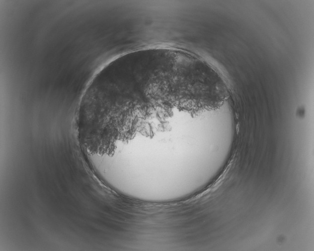 X0000116341212201001131038