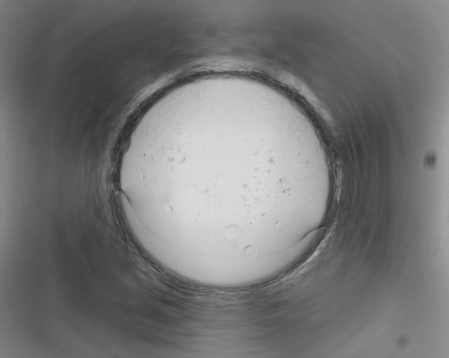 X0000116341213201001131038