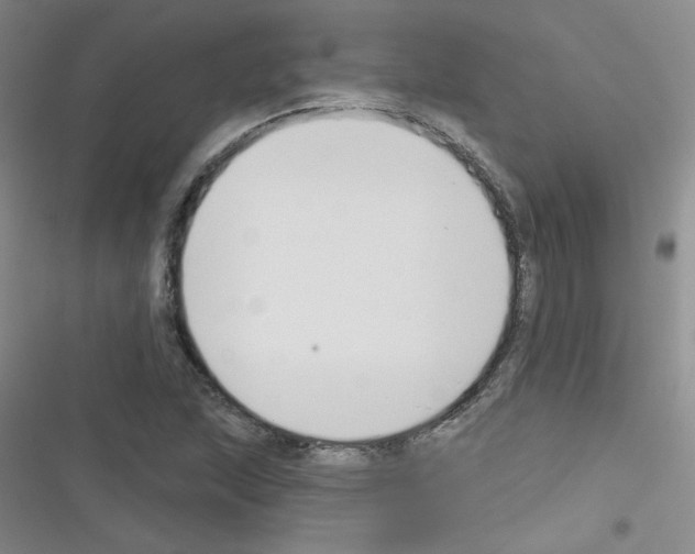 X0000116341215201001131038