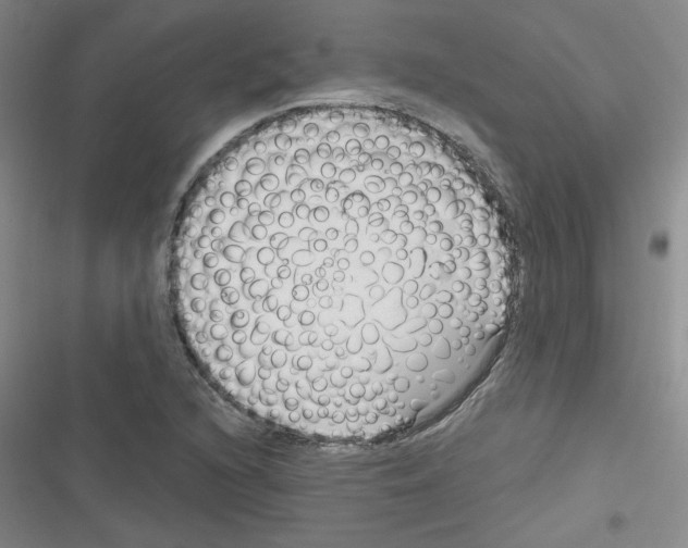 X0000116341216201001131038