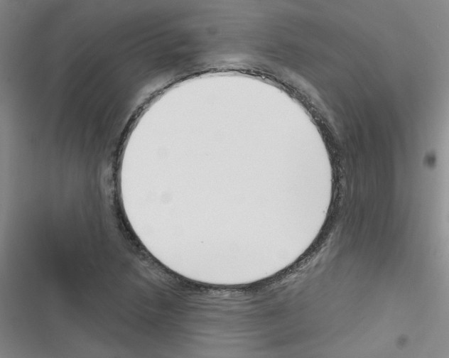 X0000116341218201001131038