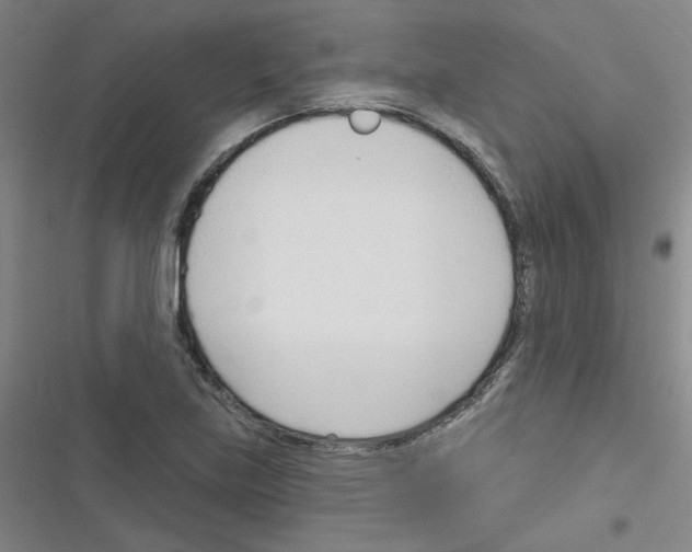 X0000116341219201001131038