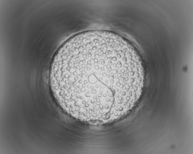 X0000116341220201001131038