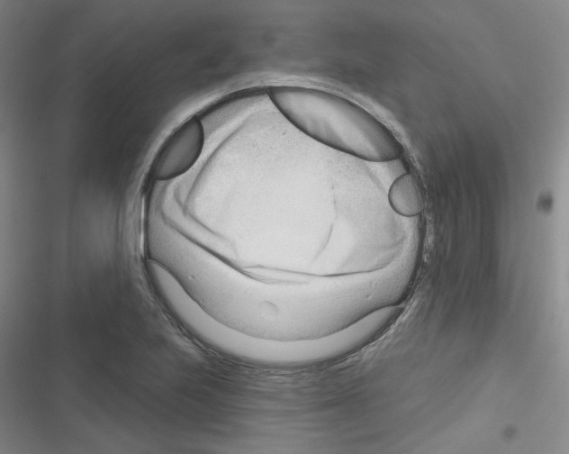 X0000116341223201001131038