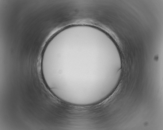 X0000116341224201001131038