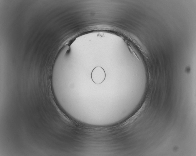 X0000116341225201001131038