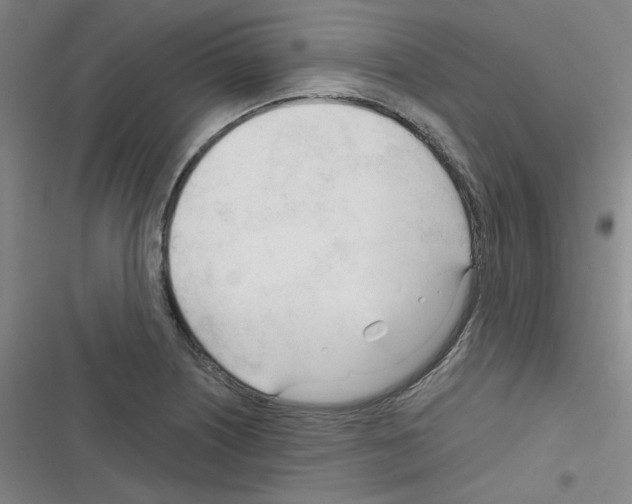 X0000116341226201001131038