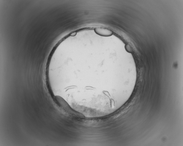 X0000116341229201001131038