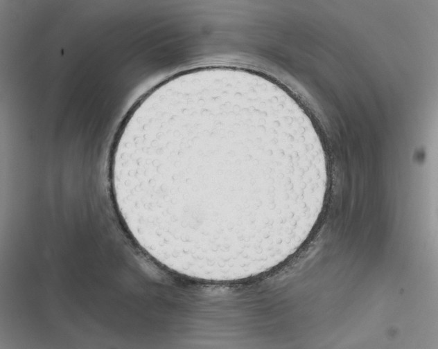 X0000116341230201001131038