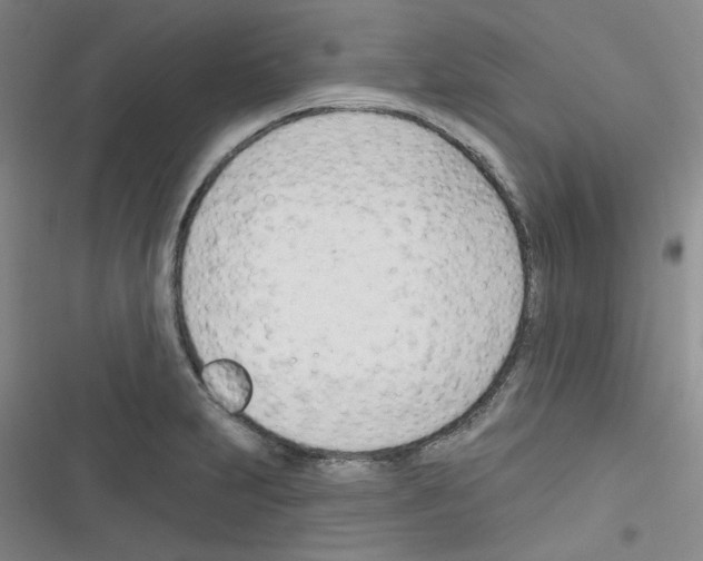 X0000116341231201001131038