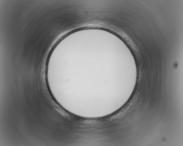 X0000116341232201001131038