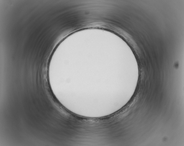 X0000116341234201001131038